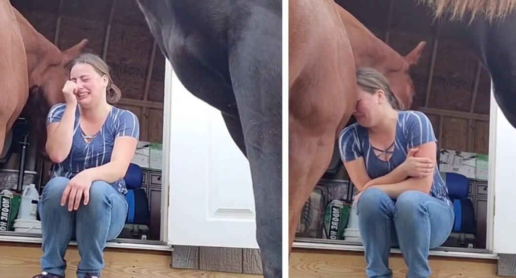 Un caballo brinda un abrazo de consuelo a su cuidadora y se hace viral
