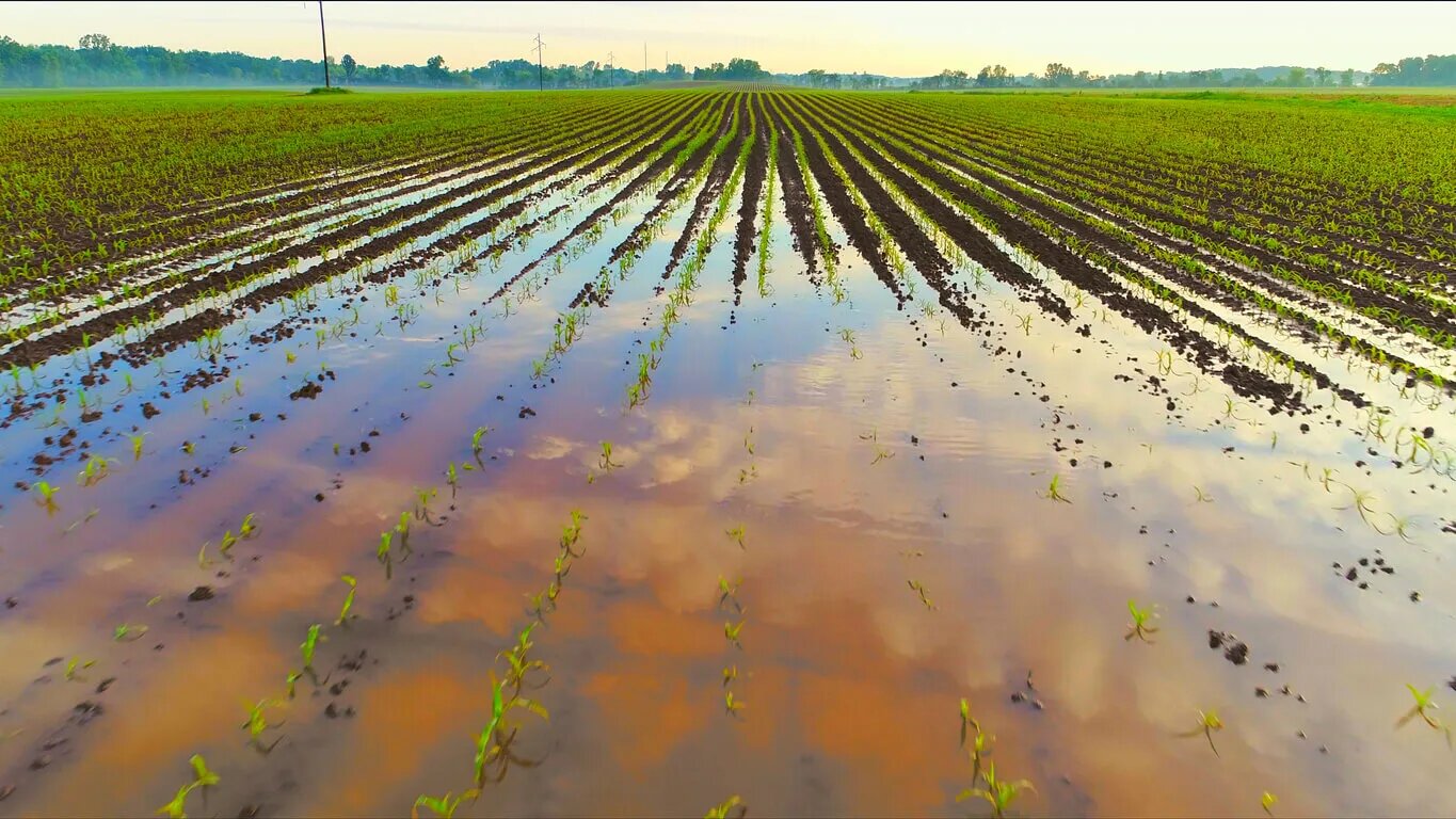 El Agro del Huila debe prepararse para afrontar el “Fenómeno De La Niña”