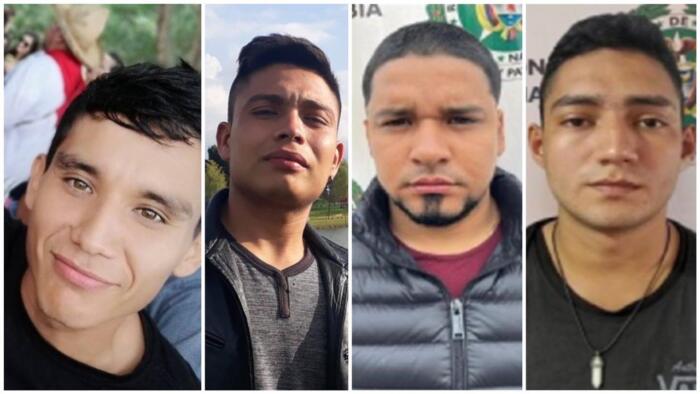 CUATRO PERSONAS EN NEIVA SERÁN VOCEROS DE PAZ