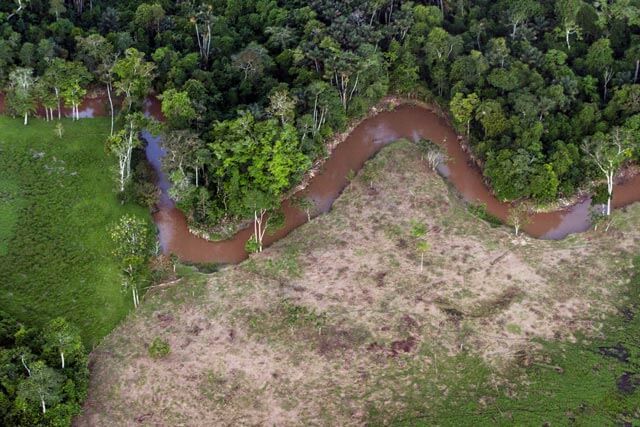 Deforestación está afectando el agua.