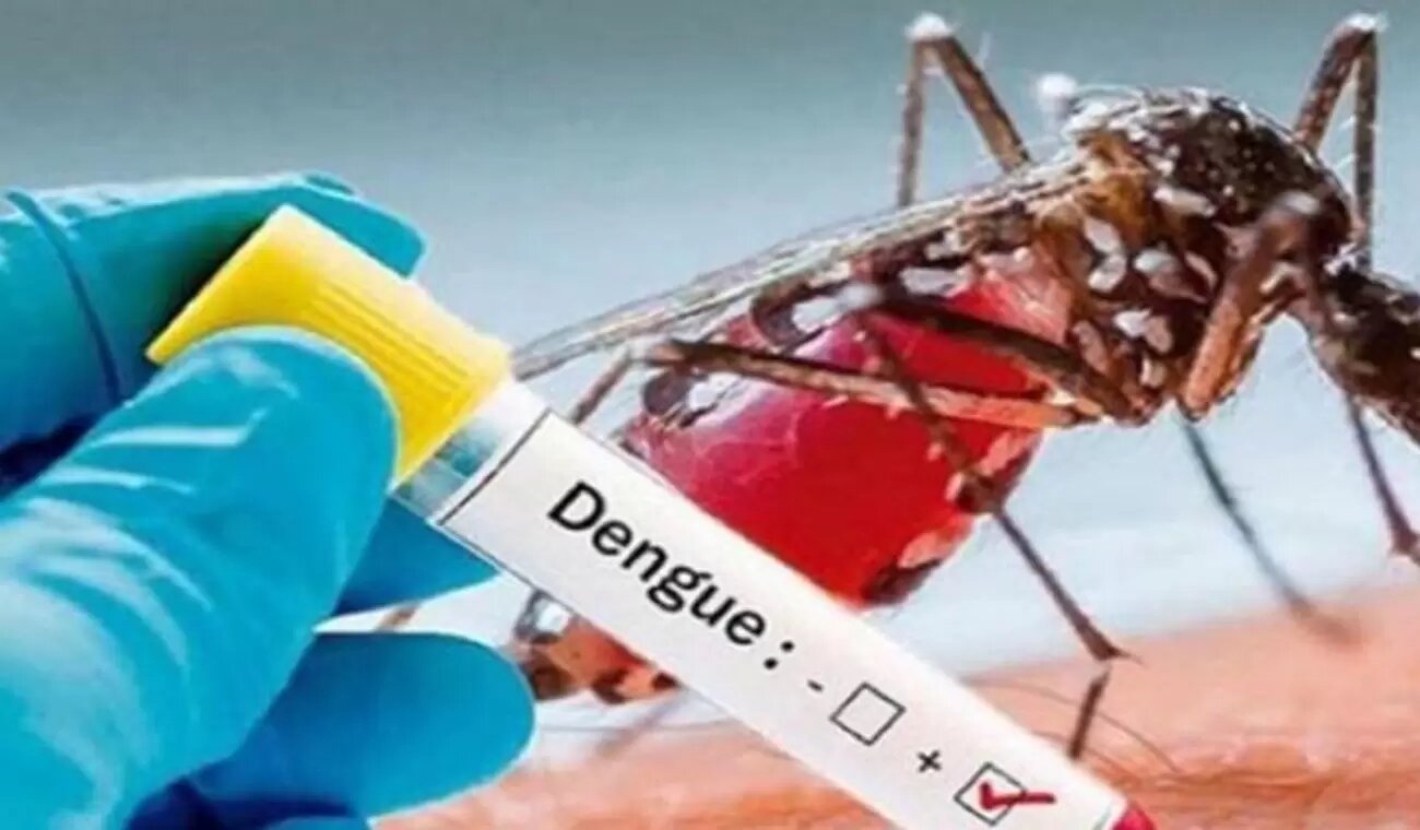 [AUDIO] Se disparan los brotes de dengue en Pitalito