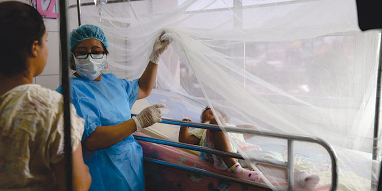 En aumento continúan los casos de Dengue en el Huila