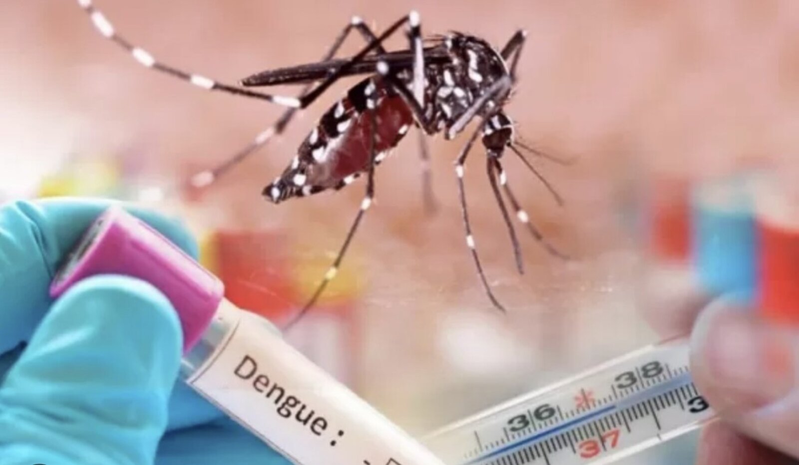 Tres mil casos de Dengue han sido reportados en el Huila
