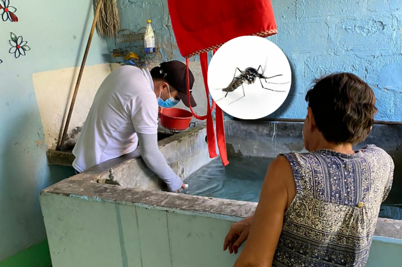 [AUDIO] 5 mil 682 casos de dengue han sido reportados en el Huila
