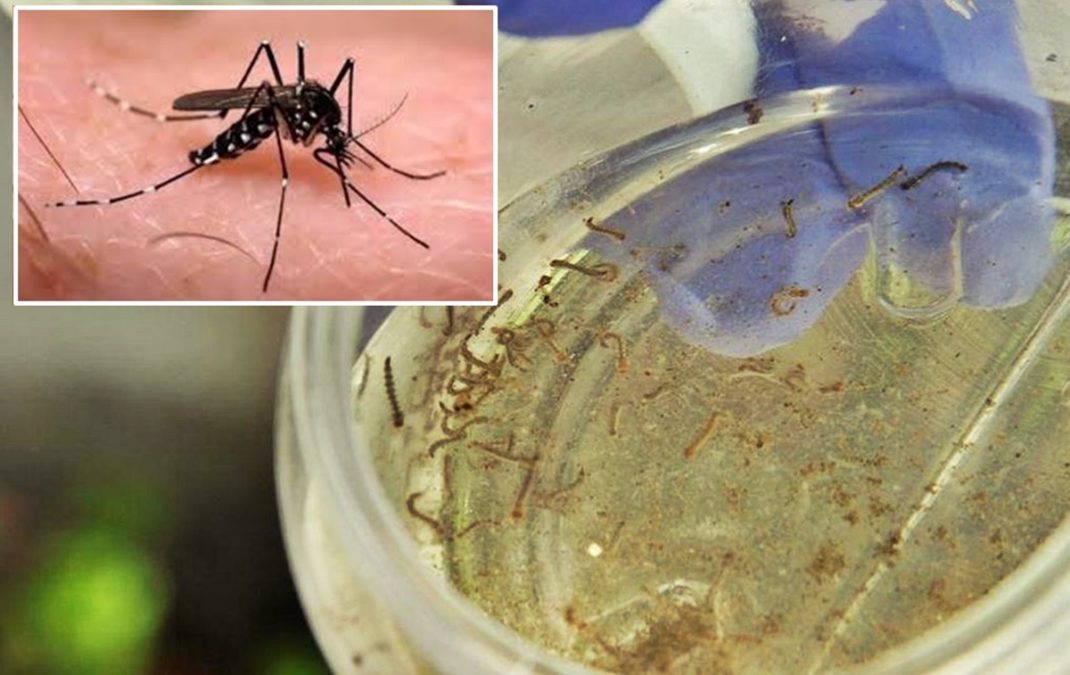 Más de 2 mil casos de dengue reportados en el Huila