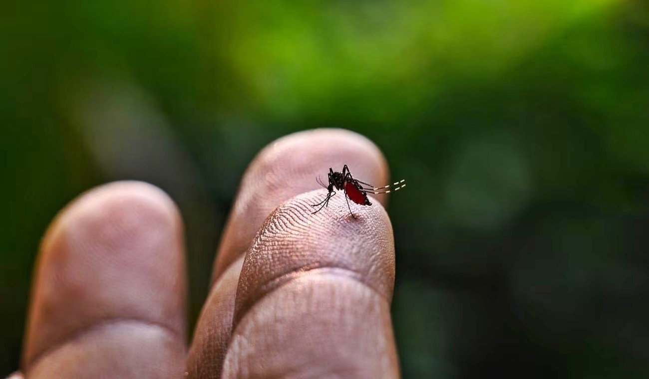[AUDIO] Mil 867 casos de dengue se han reportado en el Huila