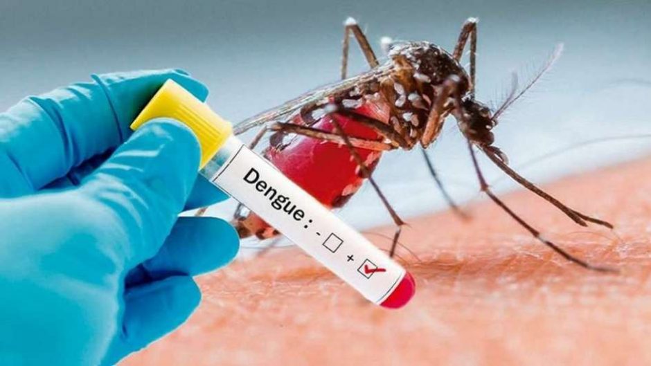 Día mundial contra el Dengue