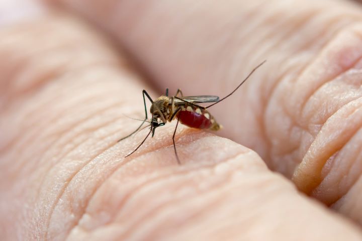 Continúa la Lucha Contra el Dengue en Cundinamarca