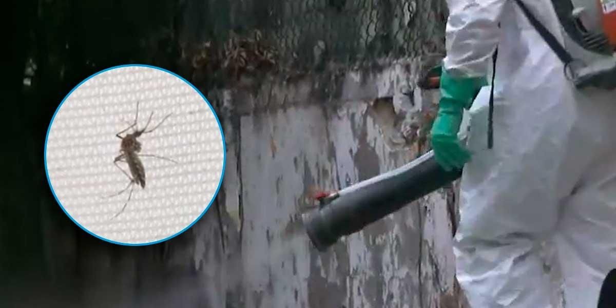 Lucha frontal contra El Dengue en Caquetá.