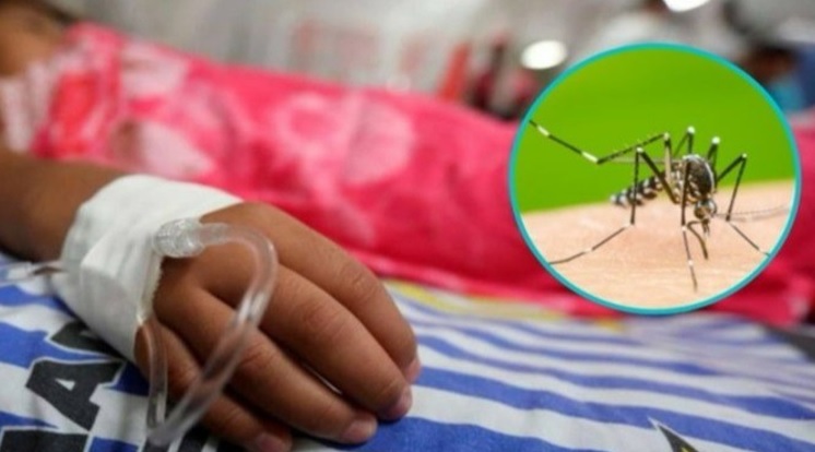 294 casos reportados de Dengue en Florencia.