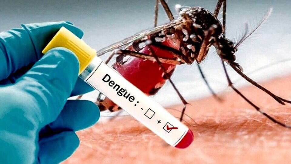 Un menor de 11 años de edad, se convirtió en la primera víctima de Dengue Hemorrágico en Florencia.