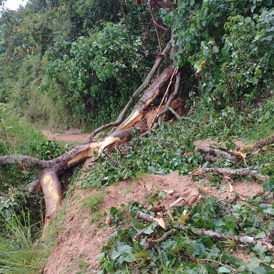 Emergencias en el Huila por intensas lluvias