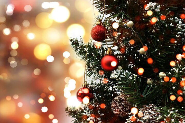 Nuevo récord mundial por la mayor cantidad de árboles de navidad en una misma casa
