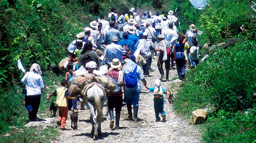 [AUDIO] En aumento las cifras de desplazamiento forzado en el Huila
