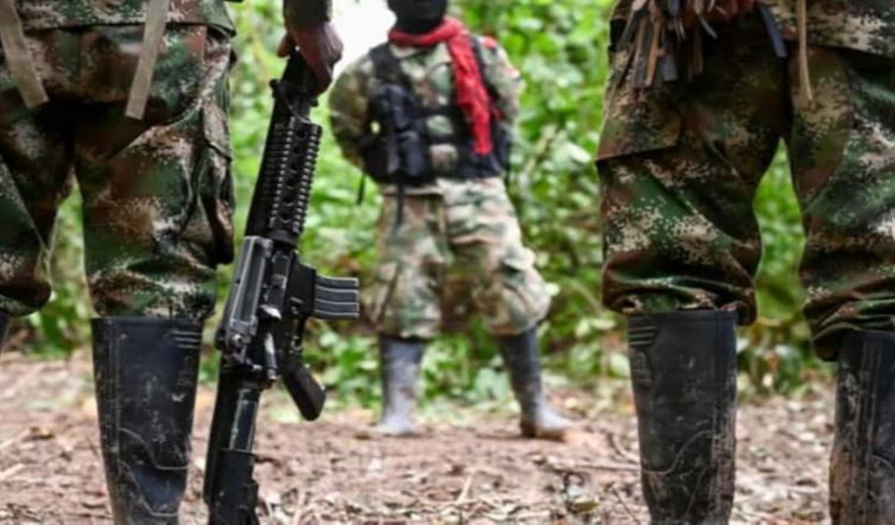 Dos integrantes de las Farc se entregaron en Caquetá  entre ellos un menor de edad
