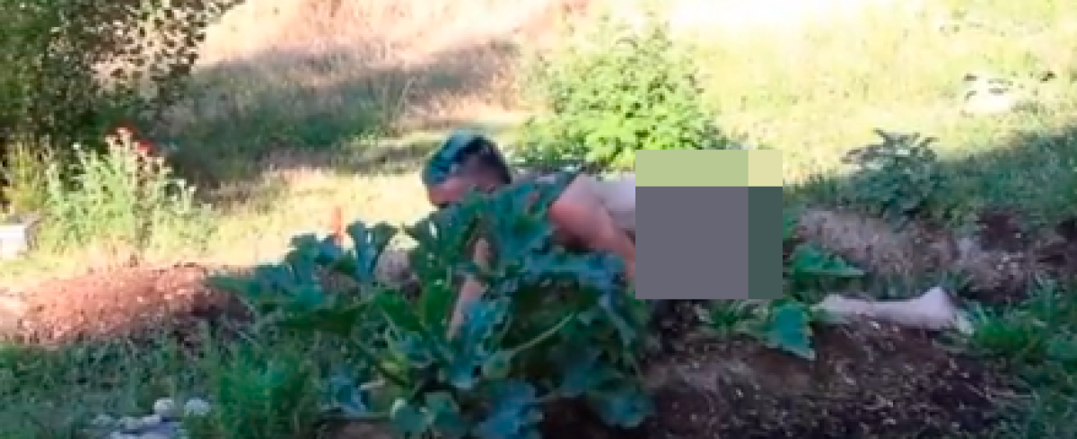 “Ecosexuales” tienen relaciones con plantas en público