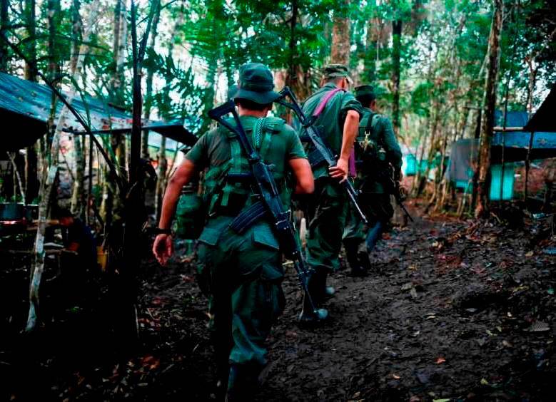 Hay preocupación por cese al fuego con disidencias de las farc