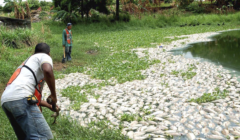 Emergencia ambiental en la Represa Betania