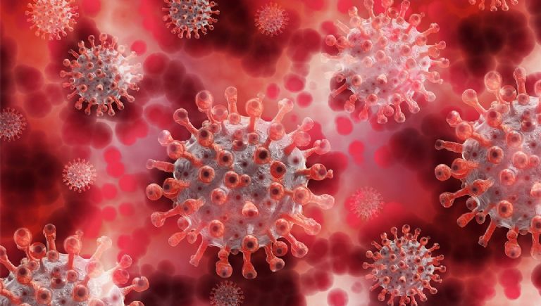 En alerta máxima se encuentran Kenia y Uganda por un nuevo virus