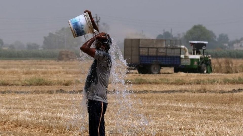 Decenas de muertes en la India
