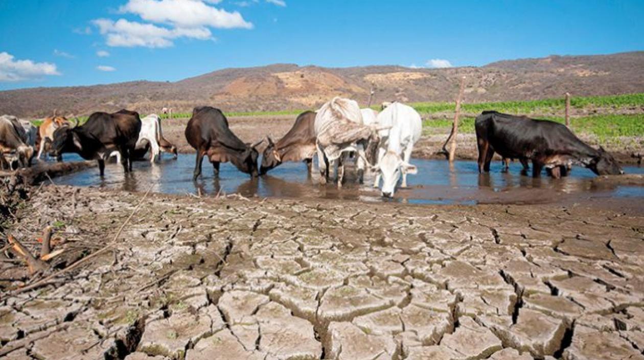 [AUDIO] Fue declarado oficialmente el inicio del fenómeno de El Niño en Colombia