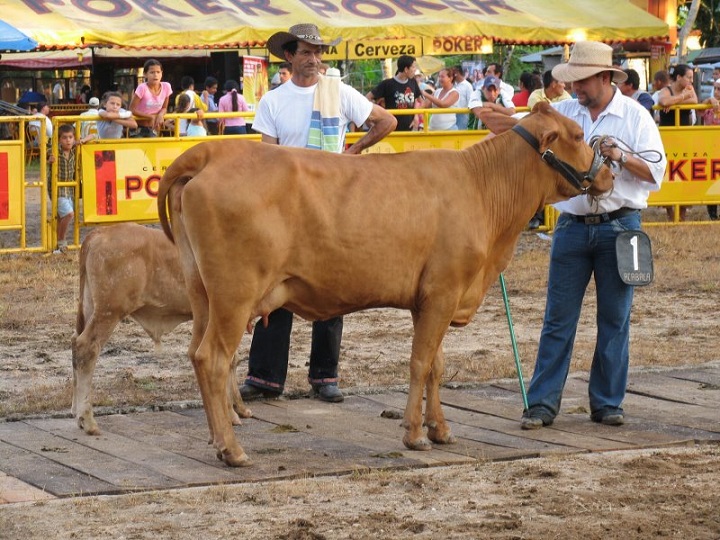 Avanza ExpoCaquetá Florencia