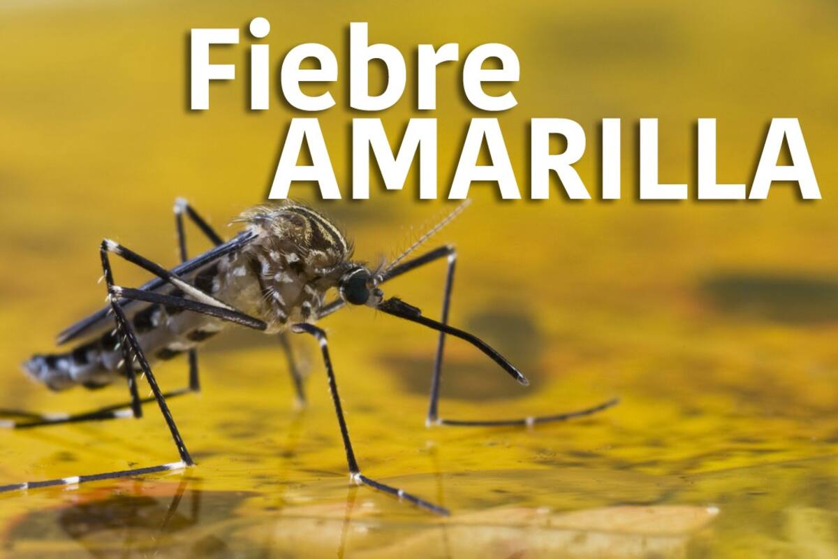 Alerta por Fiebre Amarilla en el Huila