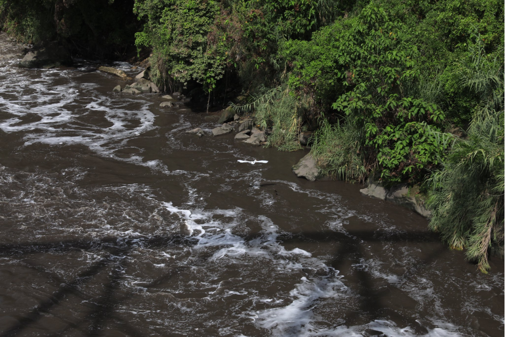 Atención Región del Tequendama