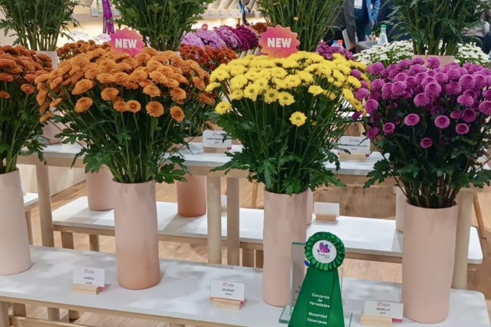 Cundinamarca, corazón de la floricultura colombiana