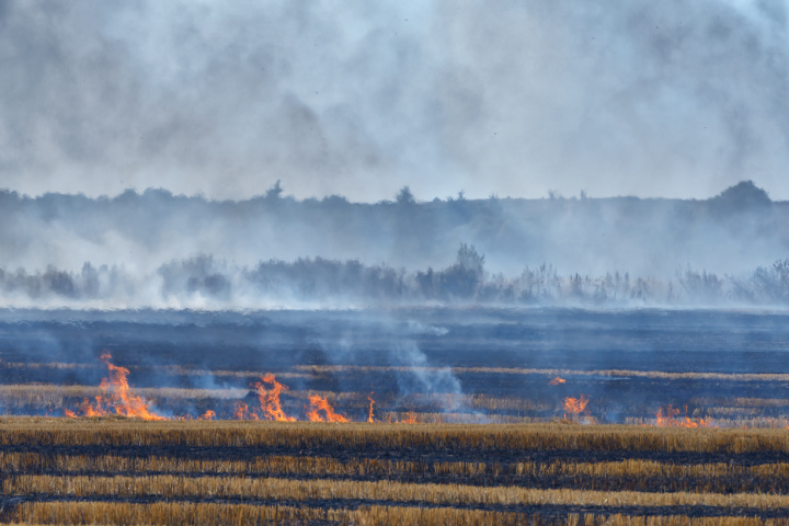 Bomberos de Cundinamarca sigue enfrentando por lo menos 8 incendios en el departamento