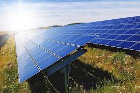 Florencia tendría una ´granja solar´
