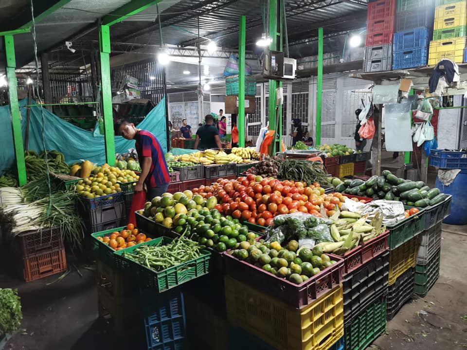 Mejoras fisicas para plazas de mercado en florencia.