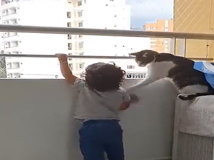 Gato literal salvó a un niño