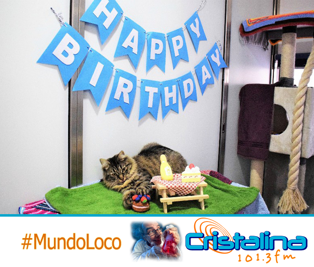 TRAS LA CELEBRACIÓN DE CUMPLEAÑOS DE UN GATO, 15 PERSONAS RESULTARON CONTAGIADAS DE COVID-19