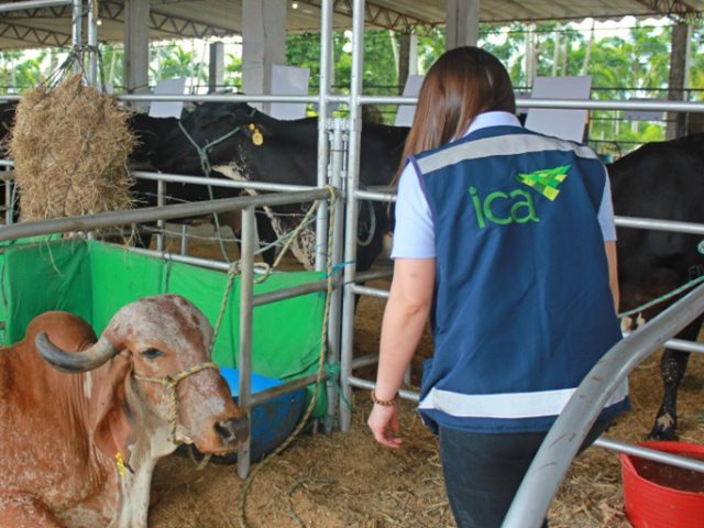 Reportan rabia silvestre en finca de Florencia.