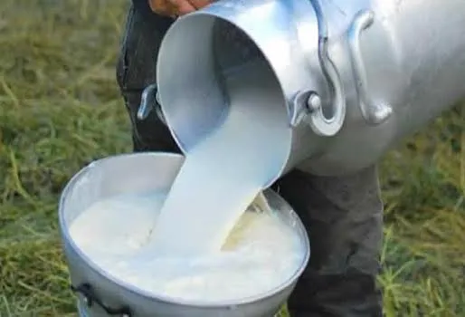 Producción de leche se mantiene gracias a la producción artesanal