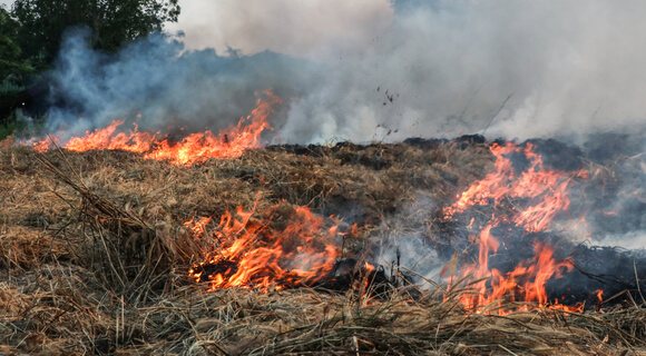 Alrededor de 140 incendios forestales van en Colombia en lo corrido del 2024.