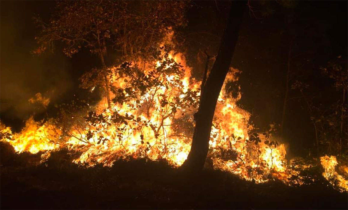 Fallece adulto mayor en medio de un incendio forestal