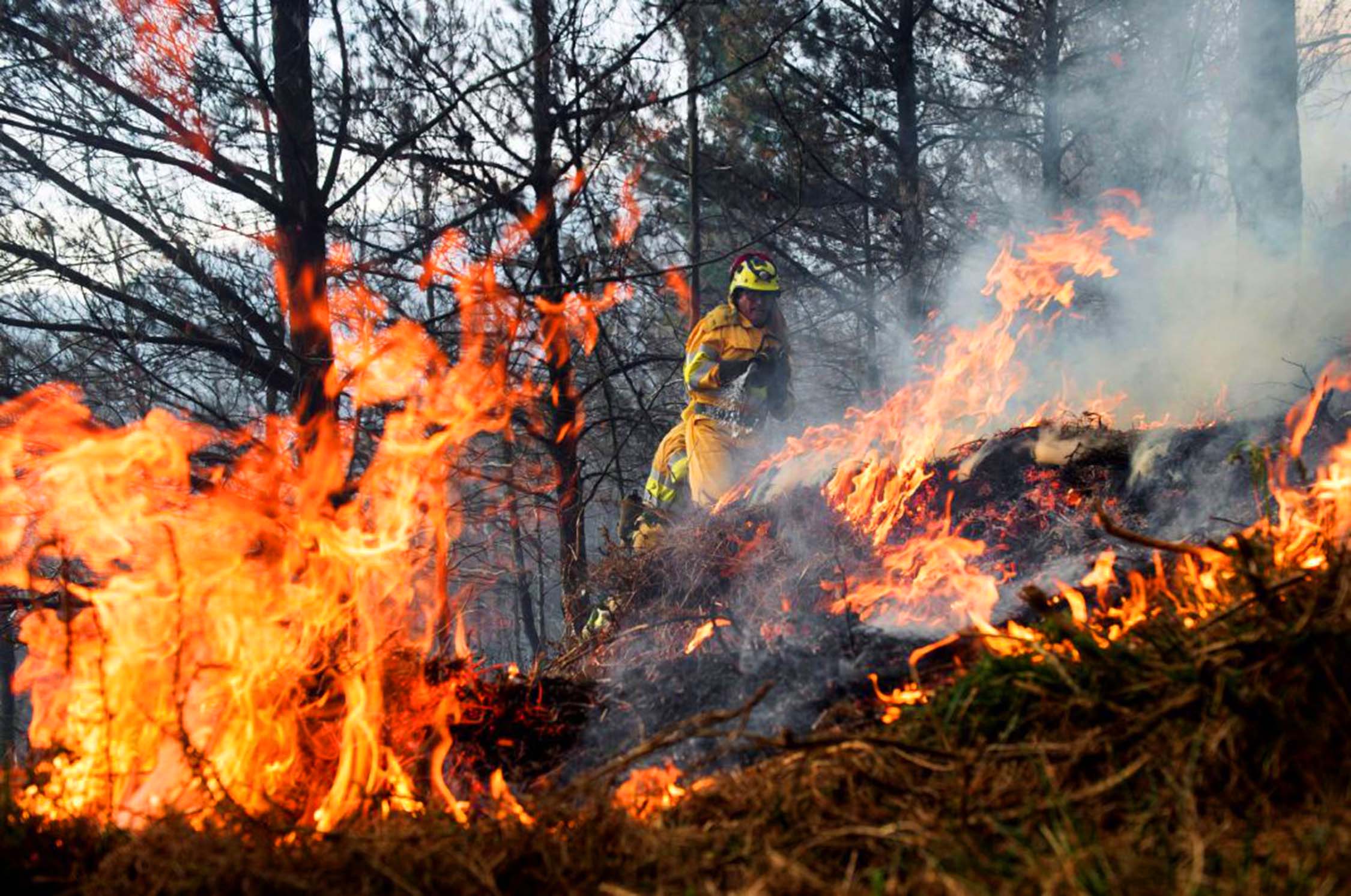 Huila, uno de los departamentos más afectados por incendios activos.