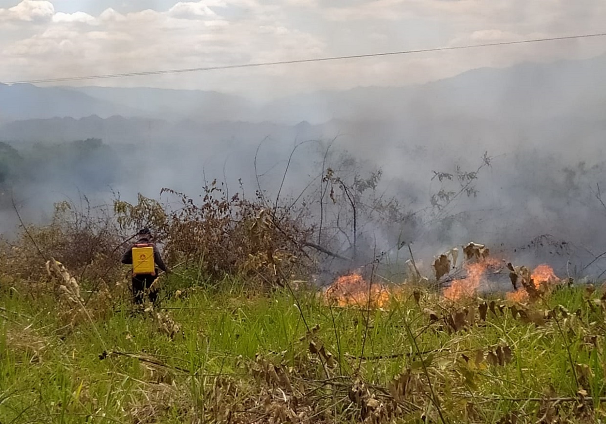 [AUDIO] Dos incendios forestales afectan al departamento del Huila
