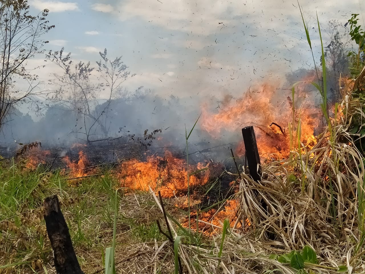 No paran los incendios en el Huila