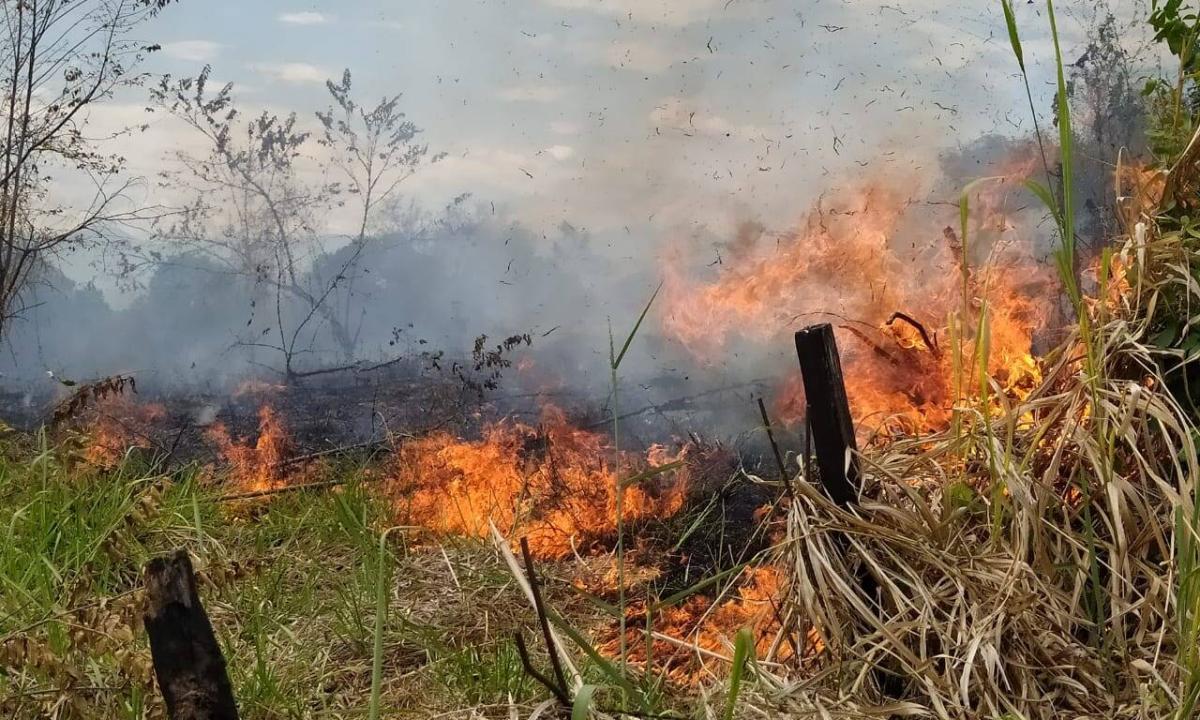 Un incendio de cobertura vegetal se presenta en el Huila