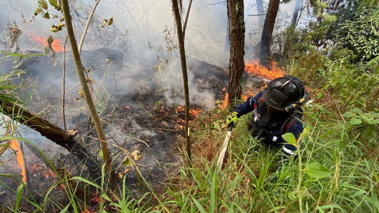 El Huila es de los departamentos con más incendios de cobertura vegetal