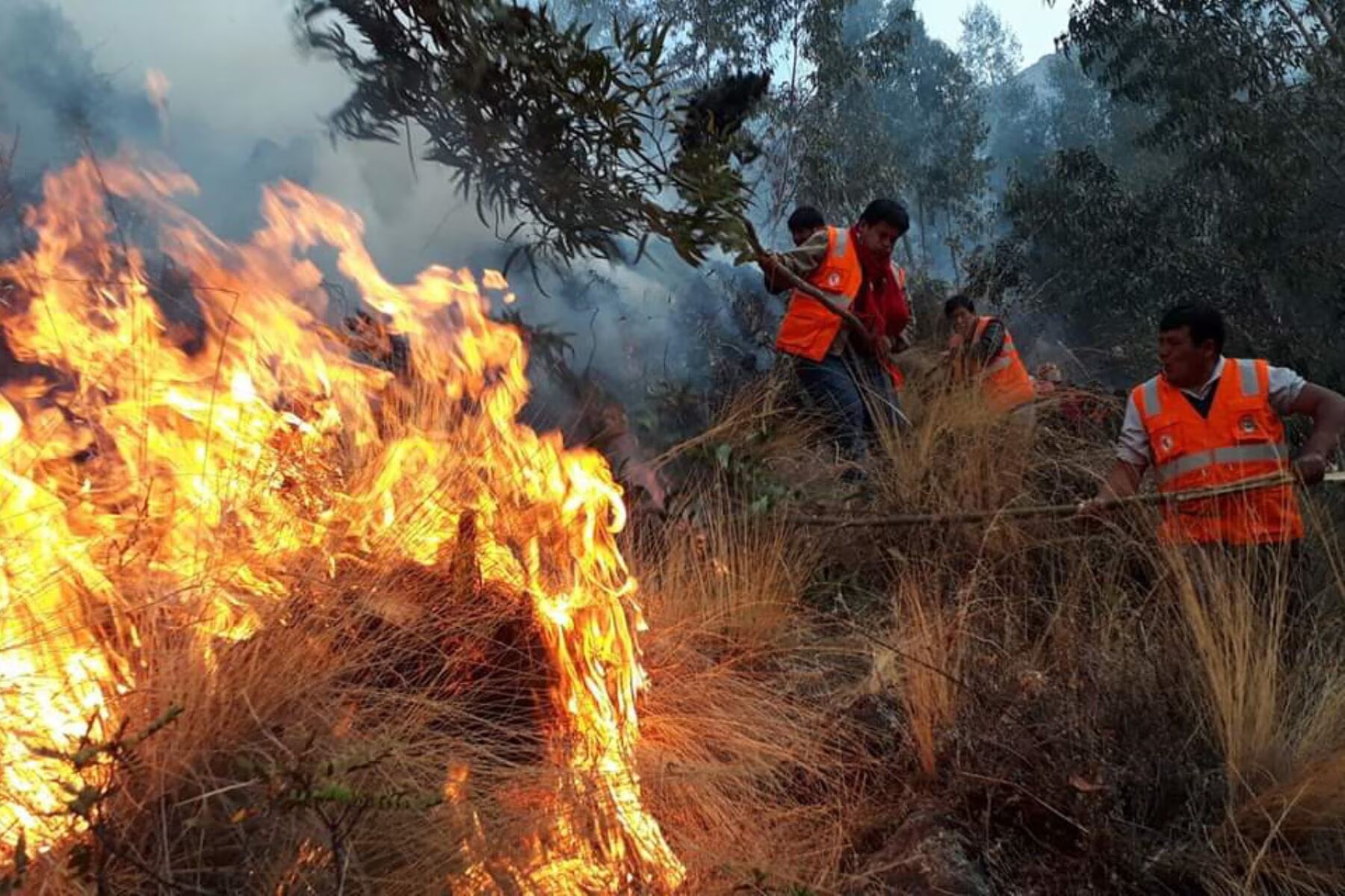 [AUDIO] ¡Incendios forestales no paran¡