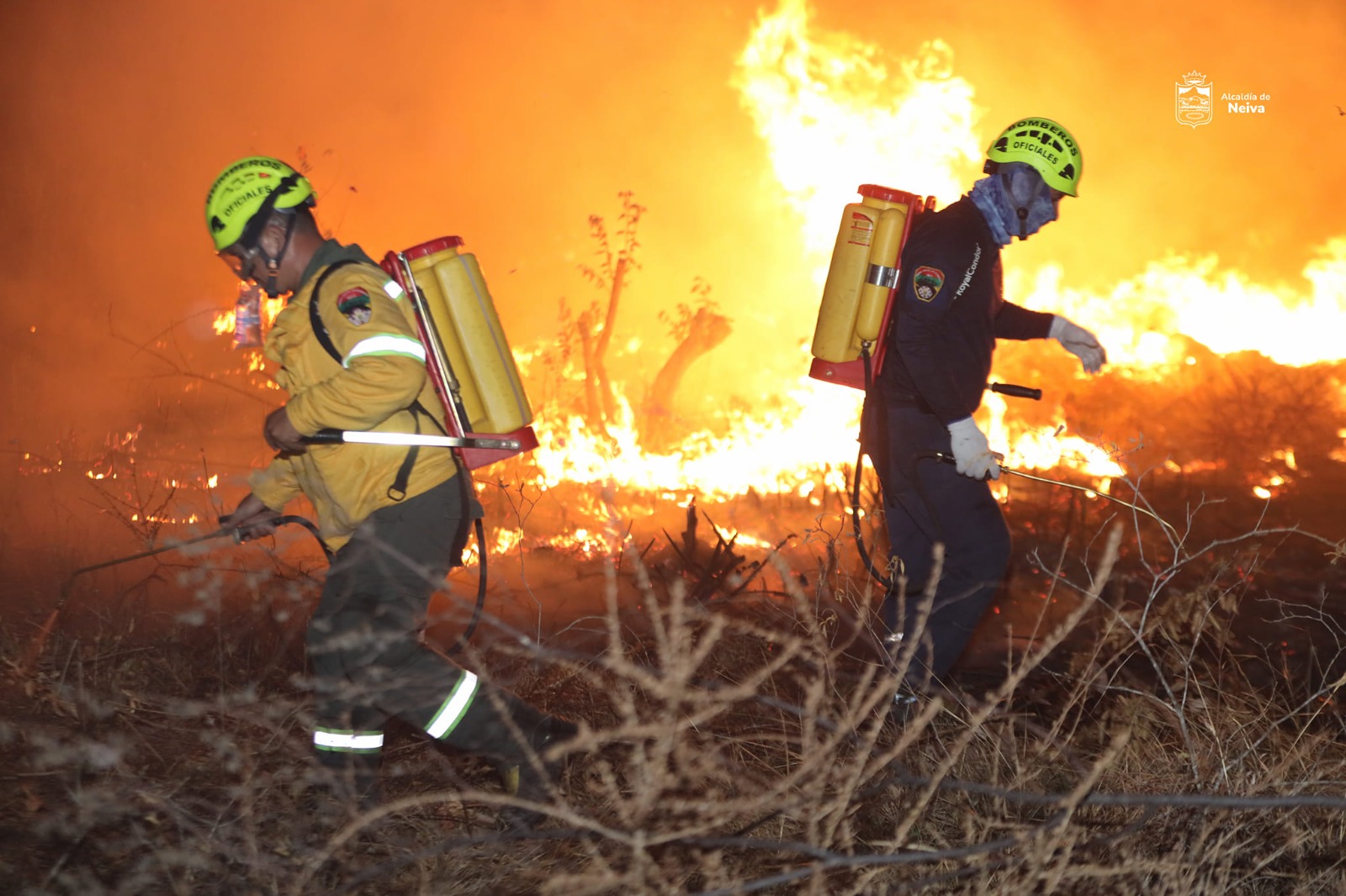 [AUDIO] Continúan los incendios en el municipio Aipe