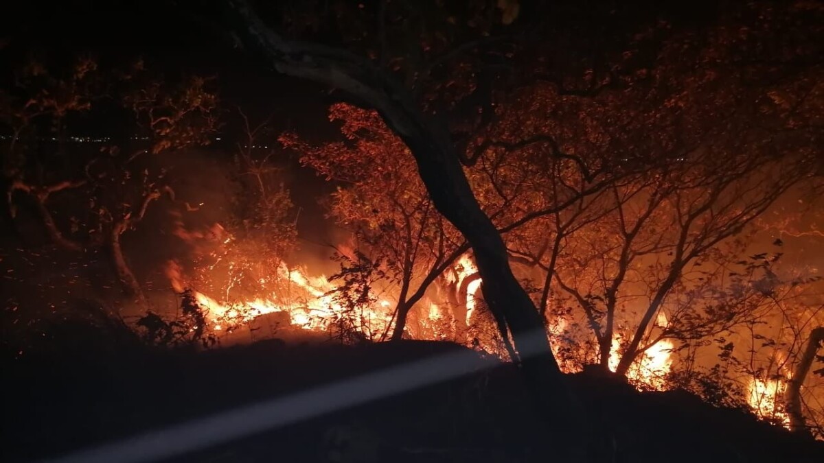 [AUDIO] Por ola de calor aumentan los incendios forestales en el Huila