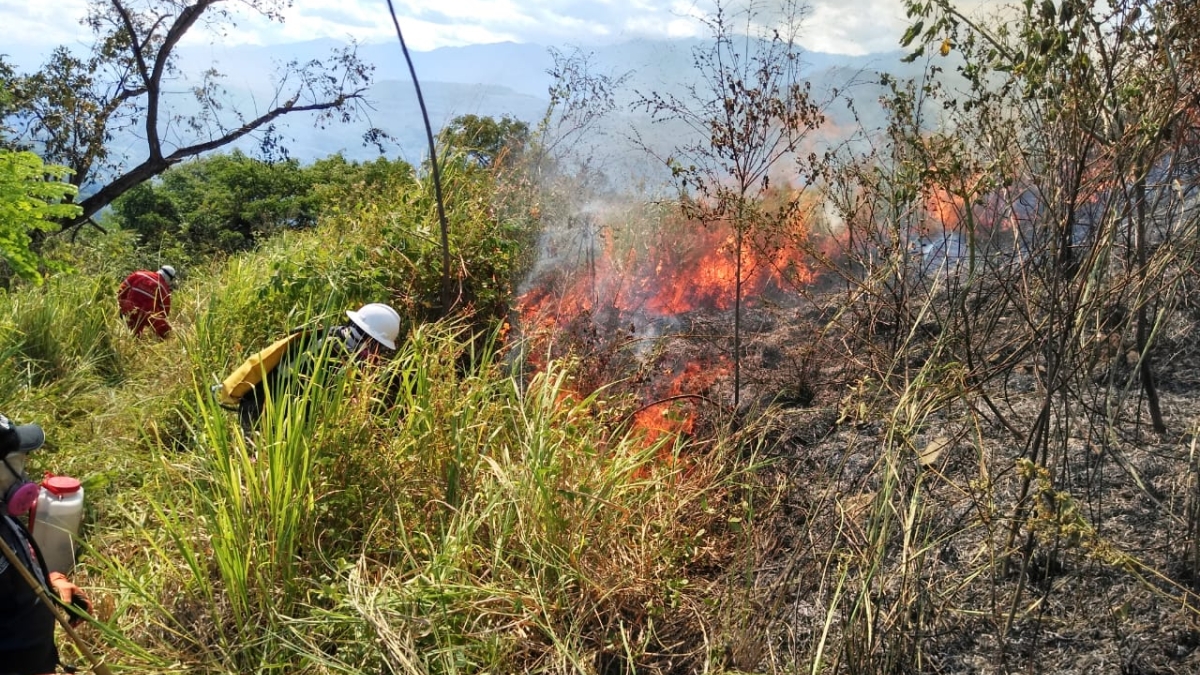 [AUDIO] Incendios en el Huila no dan tregua