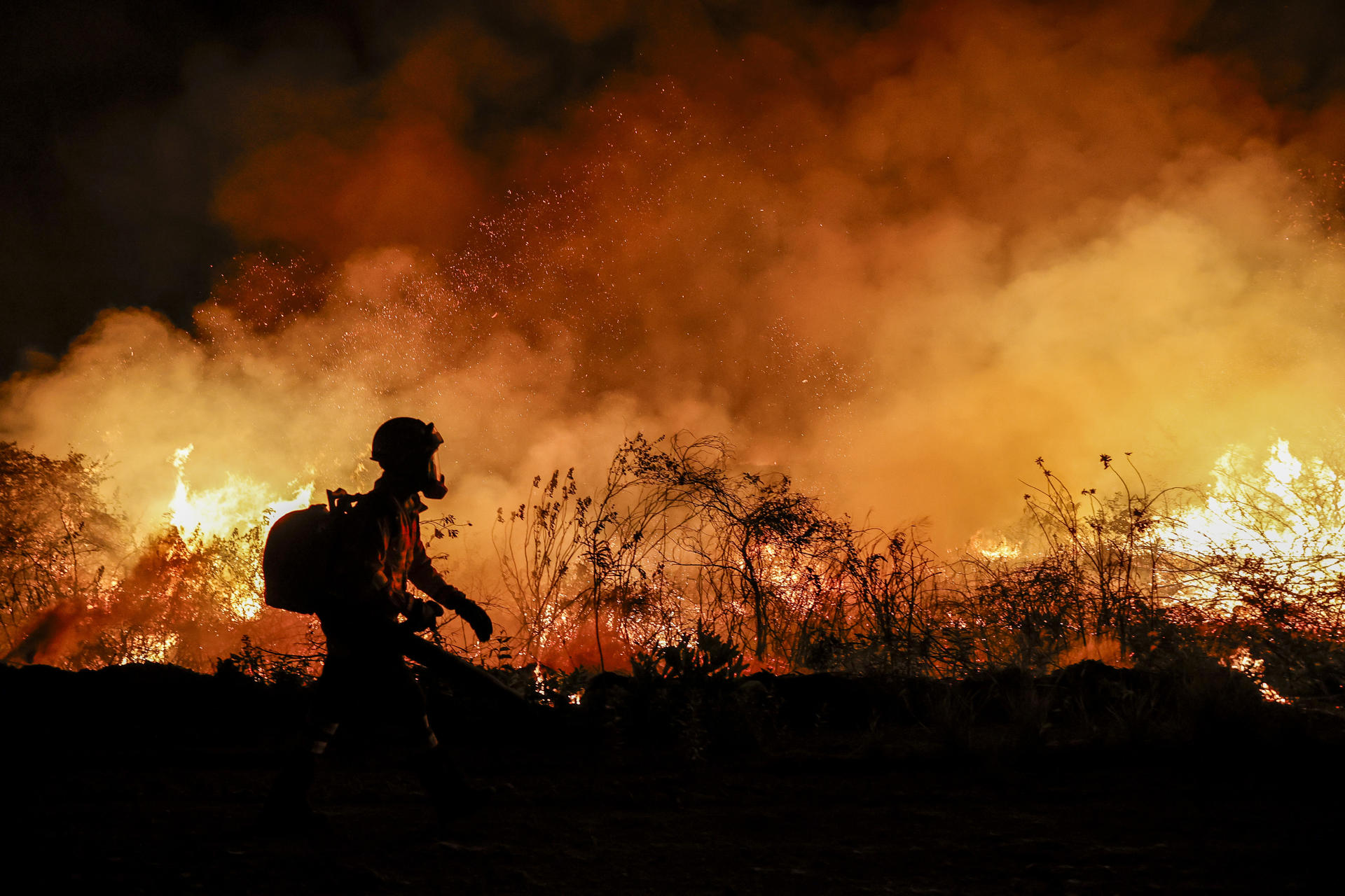 Con 8 incendios forestales cerro la jornada el departamento del Huila