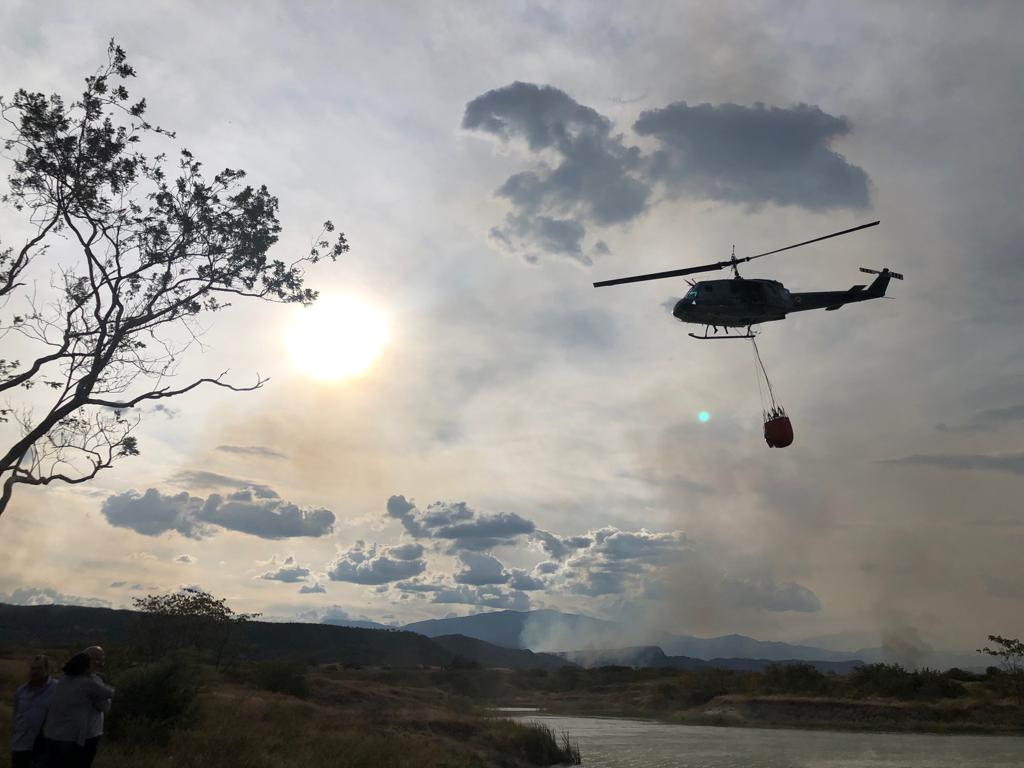 Fueron extinguidos los incendios en Palermo