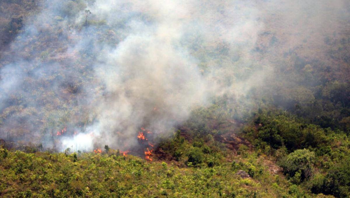 [AUDIO] Aún continúan activos dos incendios de cobertura vegetal en el municipio de Palermo
